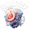 BaluReef - Início